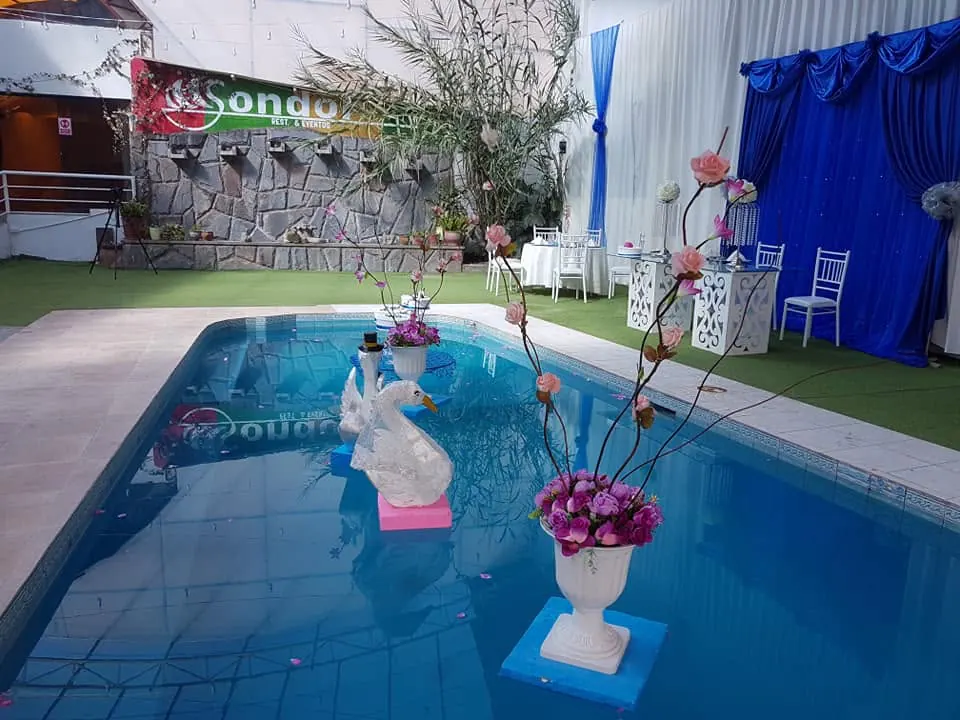 Piscina decorada con cisne
